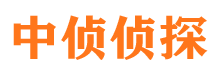 泸县私家侦探公司